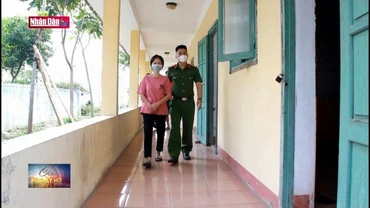 Triệt phá đường dây đánh bạc hơn 800 triệu đồng/ngày