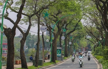 Ảnh minh họa.