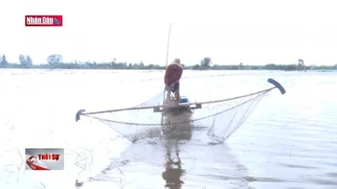 Người nghèo Long An ấm lòng mùa nước nổi