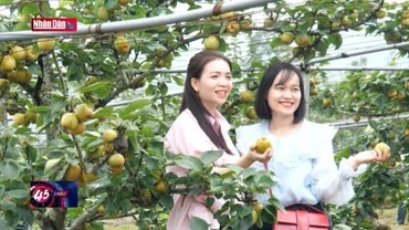 Lào Cai: Phát triển các mô hình du lịch nông nghiệp
