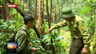 Bảo tồn đa dạng sinh học và bảo vệ động vật quý hiếm