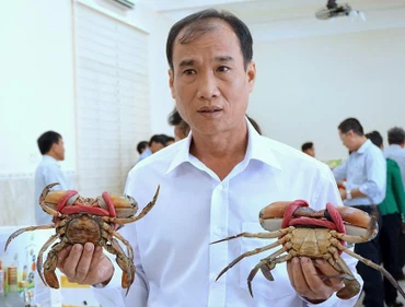 Thương hiệu Cua Cà Mau được bảo hộ và chỉ dẫn địa lý, được nhiều nơi trong cả nước biết đến.