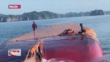 Tìm kiếm thuyền viên mất tích do chìm tàu trên biển Cát Bà