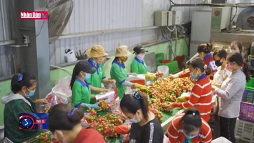 Sẵn sàng đón thị trường Trung Quốc mở cửa