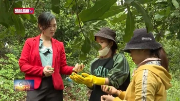 Phát huy năng lực lãnh đạo cán bộ nữ vùng dân tộc thiểu số Phú Yên