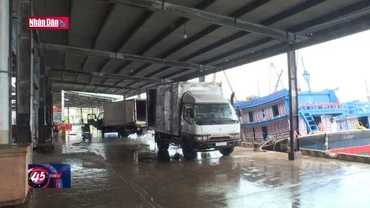 Dầu giảm giá, ngư dân Khánh Hòa phấn khởi vươn khơi