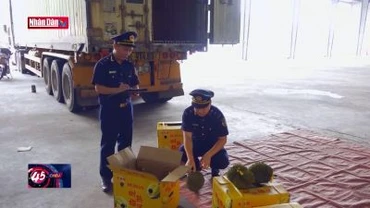 Lạng Sơn: Xuất khẩu nông sản tăng mạnh qua các cửa khẩu