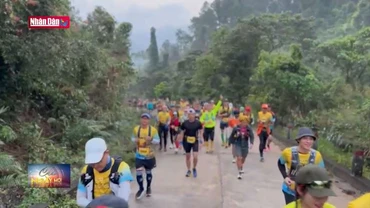 Giải chạy để bảo tồn động, thực vật hoang dã