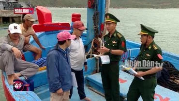 Bình Định: Quyết liệt xử lý tàu cá "3 không"