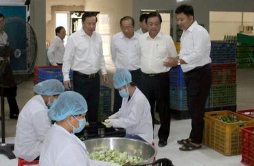Lãnh đạo Bộ Nông nghiệp và Phát triển nông thôn xem quy trình sản xuất và chế biến chanh của Công ty cổ phần Thương mại và Đầu tư Chanh Việt, xã Thạnh Lợi, huyện Bến Lức.