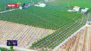 Dự thảo Luật Đất đai - Tìm và hiểu: Sửa đổi, bổ sung quy định người sử dụng đất
