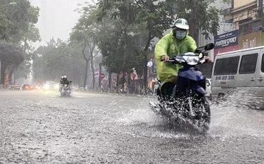 Ảnh minh họa.