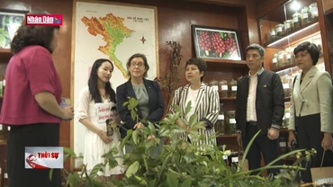 Giảm sử dụng các sản phẩm động vật hoang dã trong y học cổ truyền