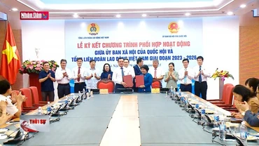 Bảo vệ quyền, lợi ích của người lao động