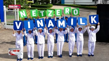 Từng bước chân vững chắc trên hành trình đến Net Zero 2050