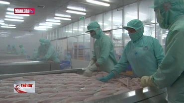 Xuất khẩu thủy sản Việt Nam sắp cán mốc 11 tỉ USD