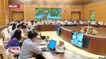 Giảm thuế giá trị gia tăng nhưng không được giảm thu ngân sách