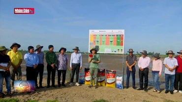 Hậu Giang: Khởi động mô hình canh tác lúa thông minh ướt - khô xen kẽ