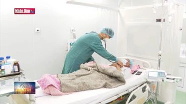 Ứng dụng ghép tế bào gốc điều trị các bệnh máu