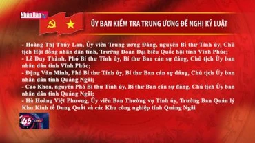Đề nghị kỷ luật một số cán bộ tỉnh Vĩnh Phúc và Quảng Ngãi