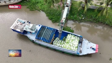 Giải bài toán logistics cho xuất khẩu nông sản