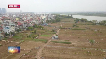 Nghiên cứu đánh thuế chống đầu cơ đất đai