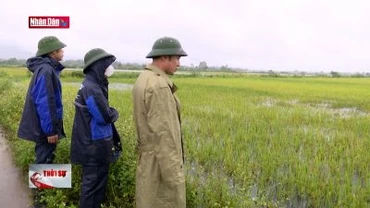 Tăng cường phòng, chống thiên tai và tìm kiếm cứu nạn