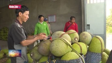 Chuyển đổi số - Giải pháp hữu ích cho hợp tác xã và hộ kinh doanh