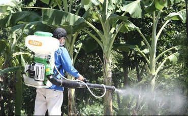 Xã Gia Xuyên phun hóa chất diệt muỗi phòng trừ dịch sốt xuất huyết.