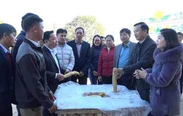 Sản phẩm củ cải muối được xuất khẩu sang Nhật Bản.