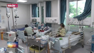TP Hồ Chí Minh: Nguy cơ dịch tay chân miệng chồng dịch sốt xuất huyết
