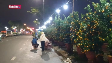 Ảm đạm chợ hoa Tết Đà Nẵng