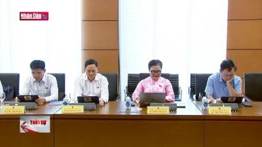 Đề nghị có cơ chế xử phạt nếu bỏ cọc đấu giá