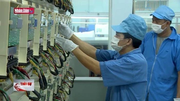 Đồng Euro "tuột dốc" tác động tiêu cực đến xuất khẩu sang châu Âu