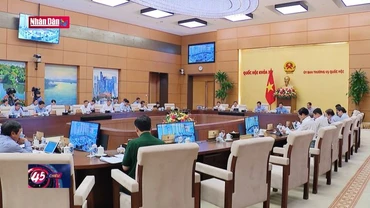 Rà soát để luật không chồng chéo