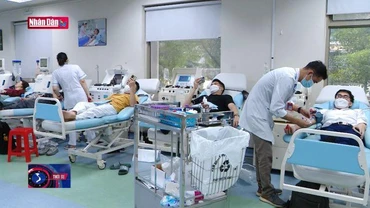 Tôn vinh người hiến tiểu cầu thường xuyên năm 2022