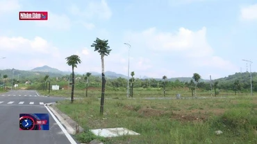 Sau đấu giá nhiều khu đất bỏ hoang