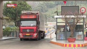 Tấp nập xuất nhập khẩu qua cửa khẩu Lào Cai