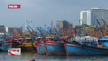 Miền Trung còn gần 10.700 tàu cá chưa đủ điều kiện để khai thác thủy sản