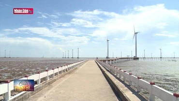 Tìm giải pháp chuyển dịch năng lượng bền vững