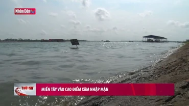 Miền Tây vào cao điểm xâm nhập mặn