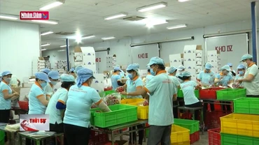 Tận dụng ưu đãi để đẩy mạnh xuất khẩu nông sản sang EU