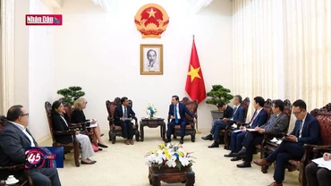 Thúc đẩy hình thành hệ sinh thái hàng tiêu dùng xuất khẩu bền vững