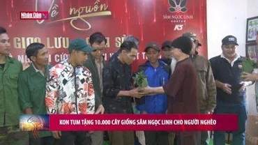 Kon Tum tặng 10.000 cây giống sâm Ngọc Linh cho người nghèo