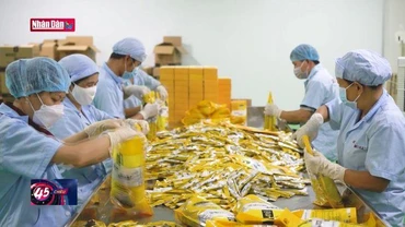 FED tăng lãi suất kỷ lục ảnh hưởng tới tỷ giá Việt Nam