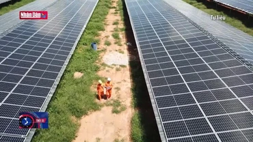 Bộ Công thương yêu cầu EVN đàm phán với các chủ đầu tư điện gió, mặt trời