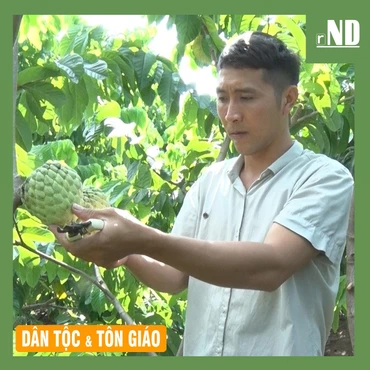 Nông dân tính chuyện làm ăn lớn