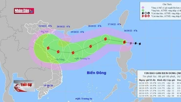 Các địa phương từ Quảng Ninh đến Bình Định chủ động ứng phó với bão số 6