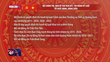Bộ Chính trị, Ban Bí thư xem xét, thi hành kỷ luật Tổ chức Đảng, Đảng viên