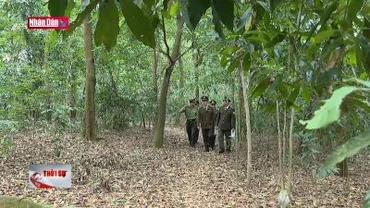 Phòng, chống cháy rừng Đền Hùng mùa Lễ hội
